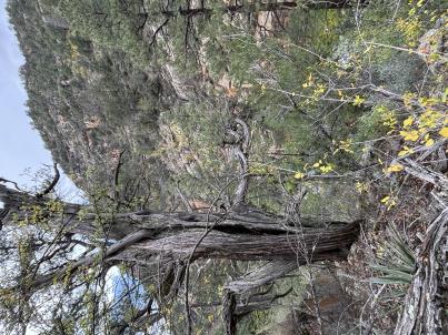 HABITAT